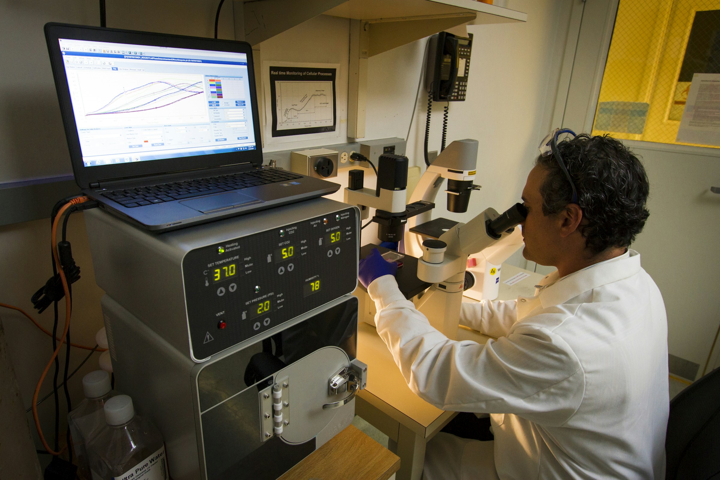 A laboratory technician observing cells through a microscope